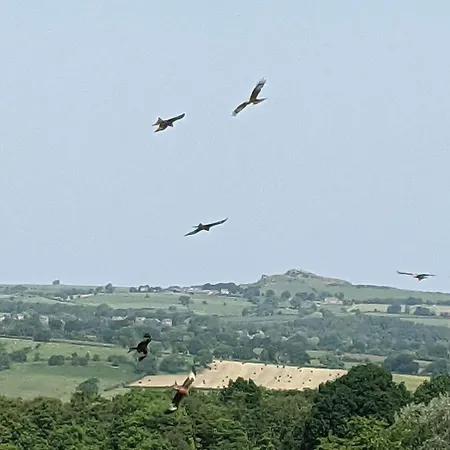 1 Hillside Leeds (West Yorkshire)