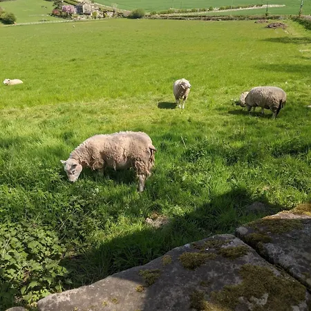 1 Hillside Leeds (West Yorkshire)