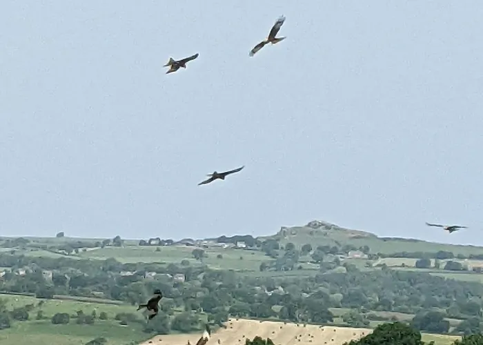 1 Hillside Leeds (West Yorkshire)