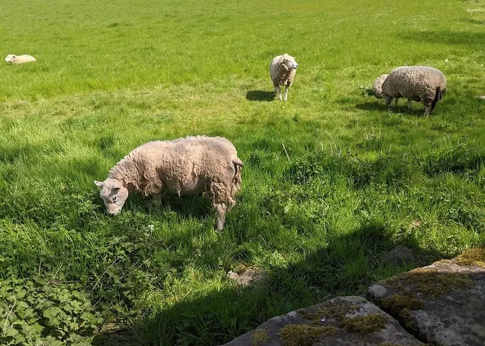 1 Hillside Leeds (West Yorkshire)